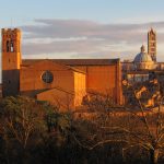 Kurkowska – Siena fot (5)-min