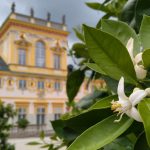 Kuśmierski_citri et aurea 1. Pałac w Wilanowie Fot. Łukasz Przybylak