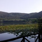 Morgantetti – Lago (8)