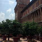 ferrara3