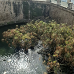 Siracusa
