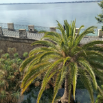 Siracusa